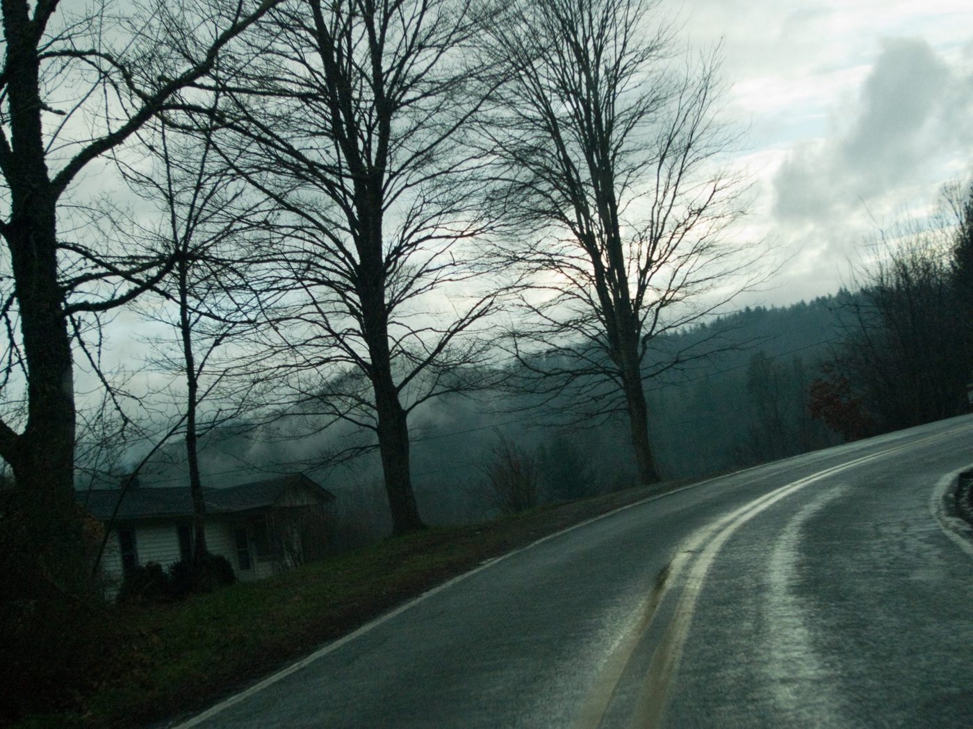 A road bending past a house beneath tall trees