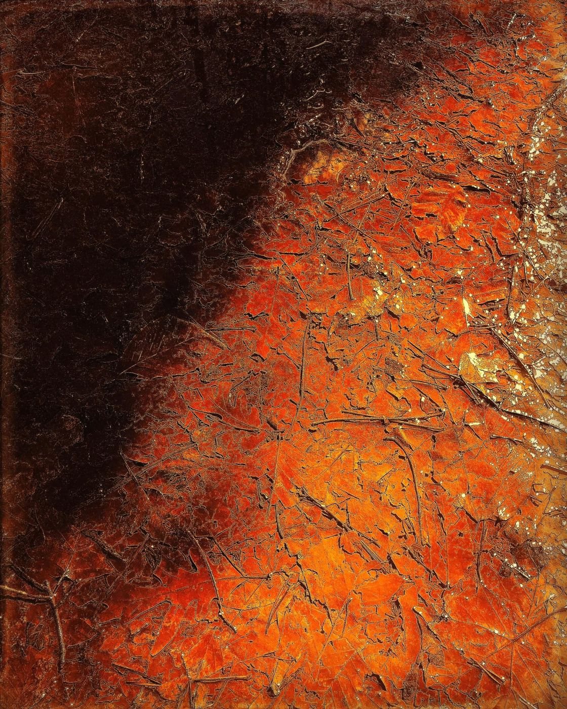 Orange and black, like embers on bark