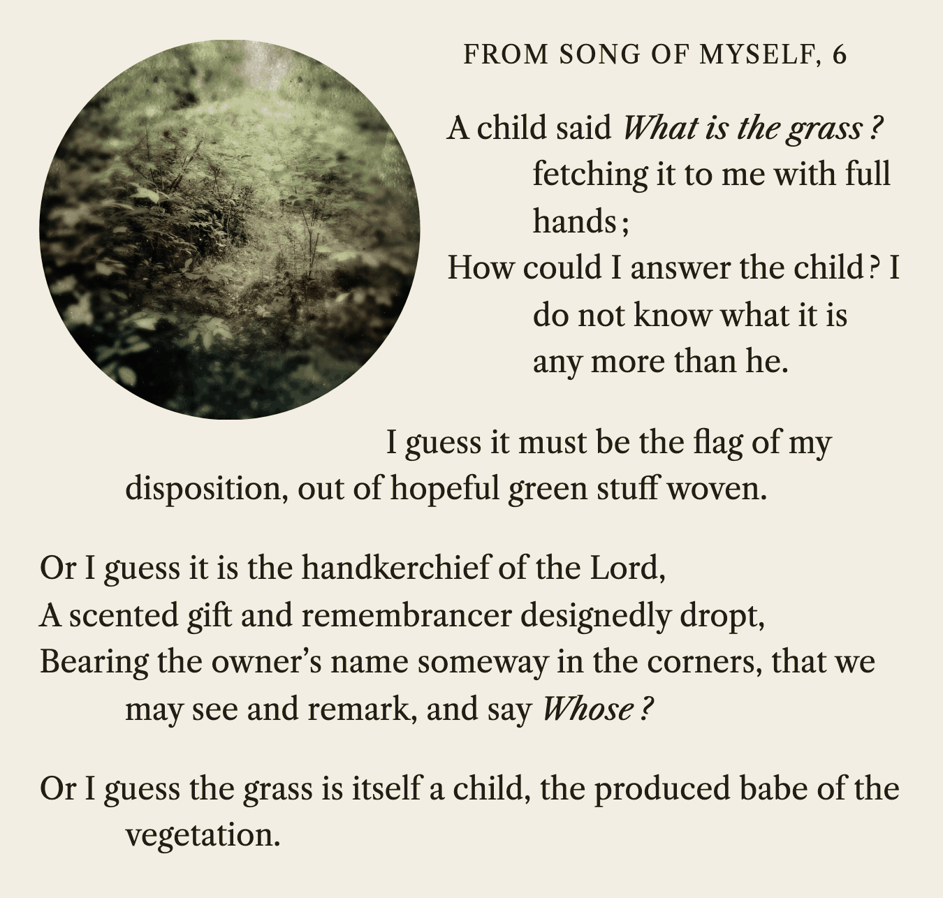 Song of Myself, section 6, as stanza sets it now